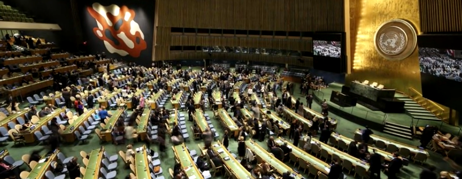 Уједињене Нације траже мишљење Међународног Суда о окупацији Палестине